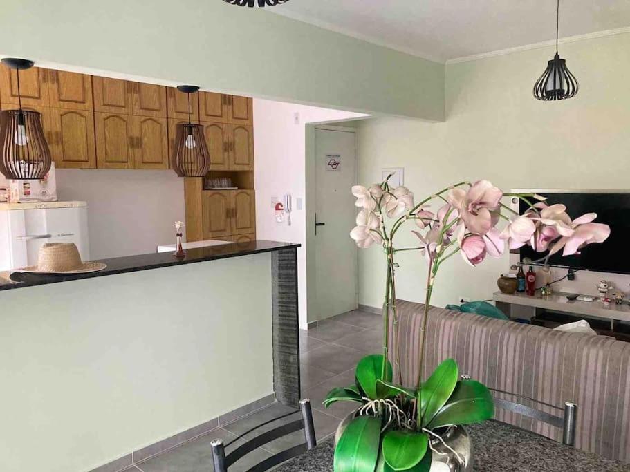 Apartamento Centro - Jardim Caiahu - Lägenhet Mongaguá Exteriör bild